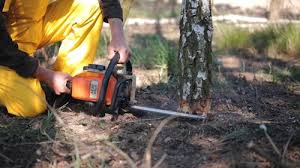 Mulching Services in Scissors, TX