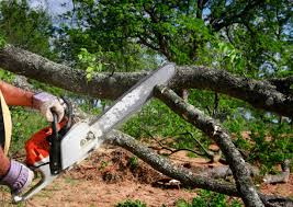 Soil Testing and Treatment in Scissors, TX